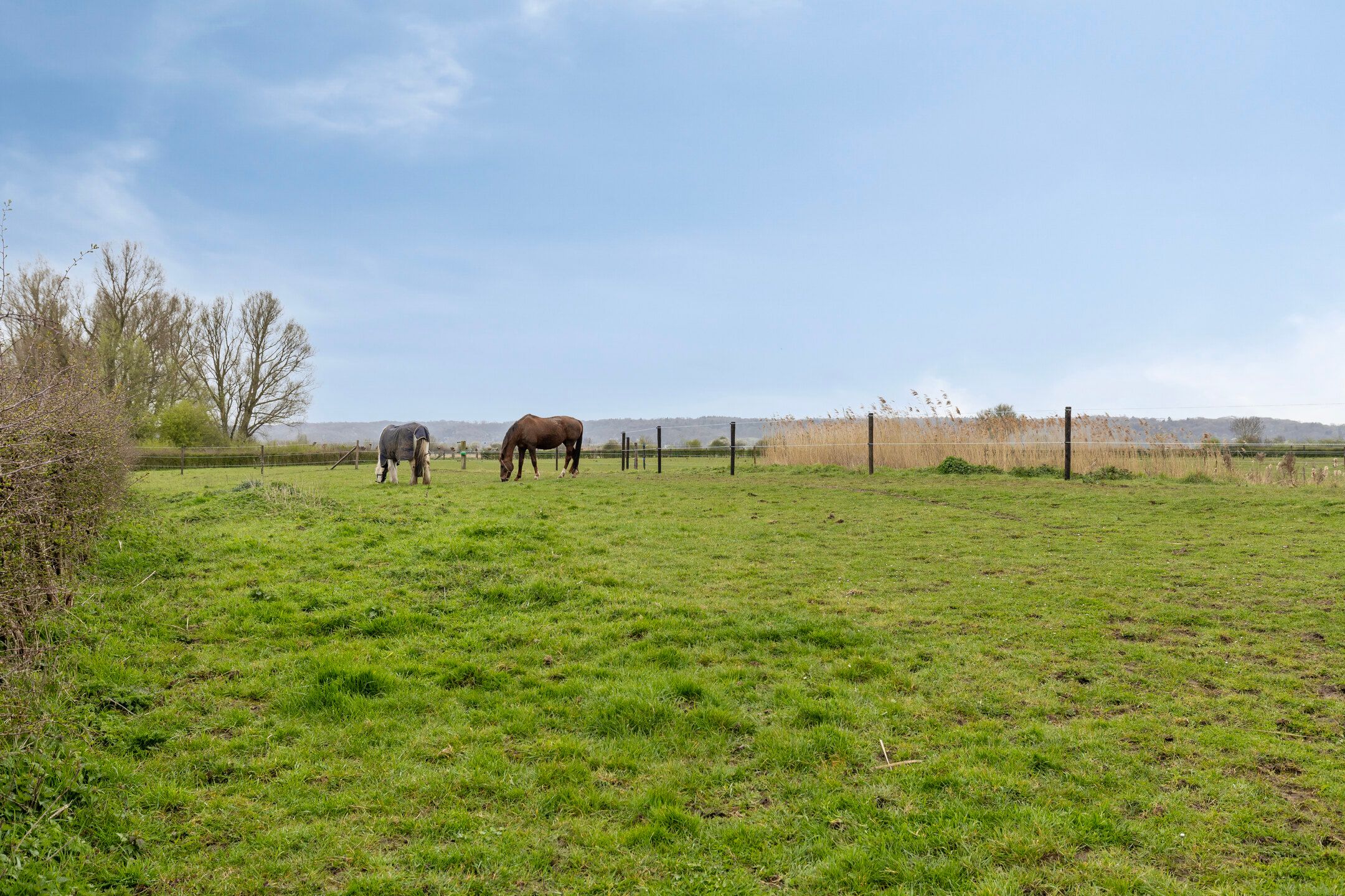 Foto 54 van Nassaustraat 16