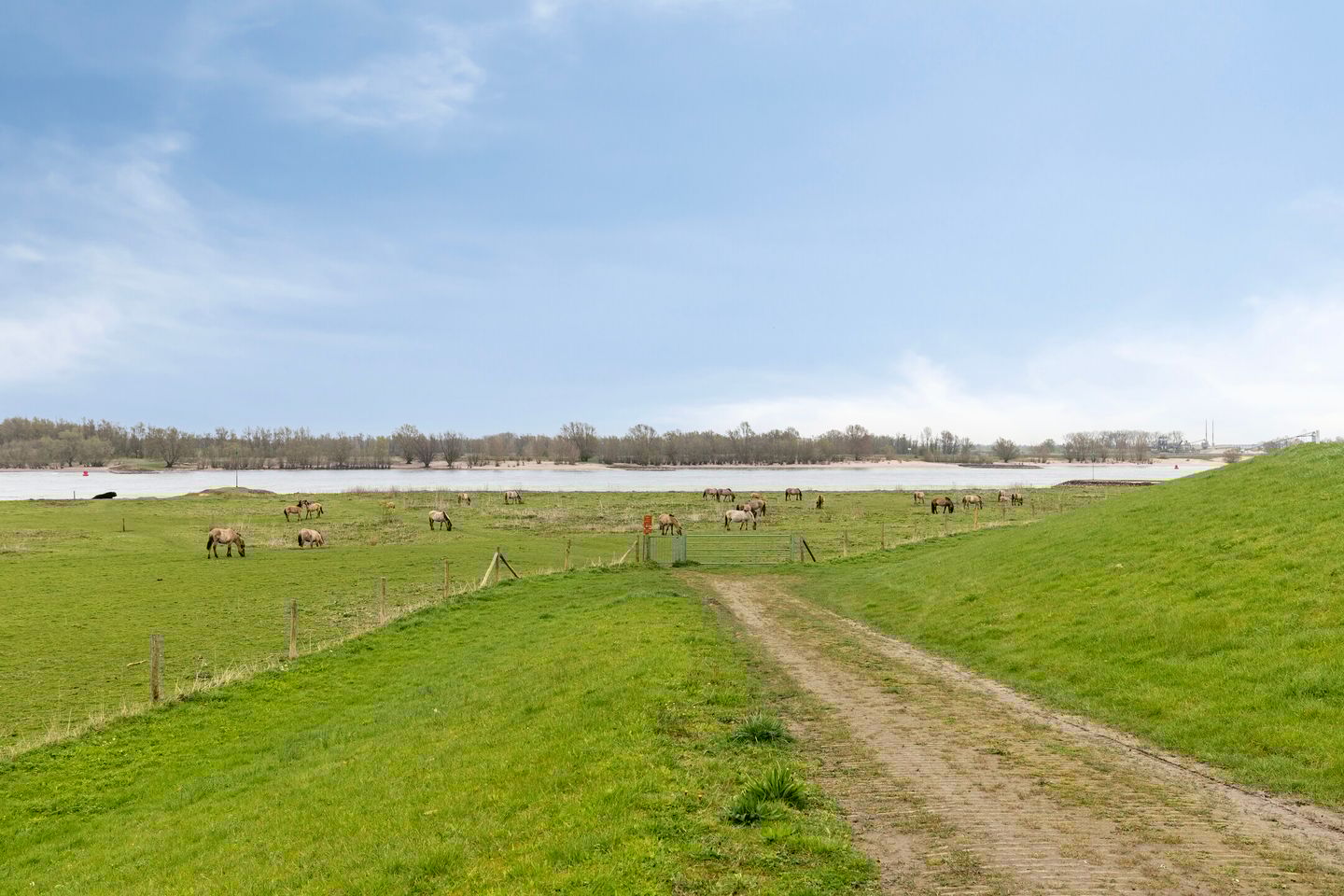 Foto 55 van Nassaustraat 16