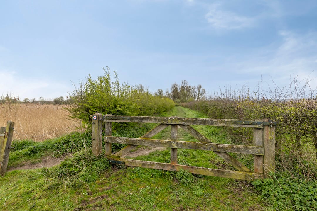 Foto 53 van Nassaustraat 16