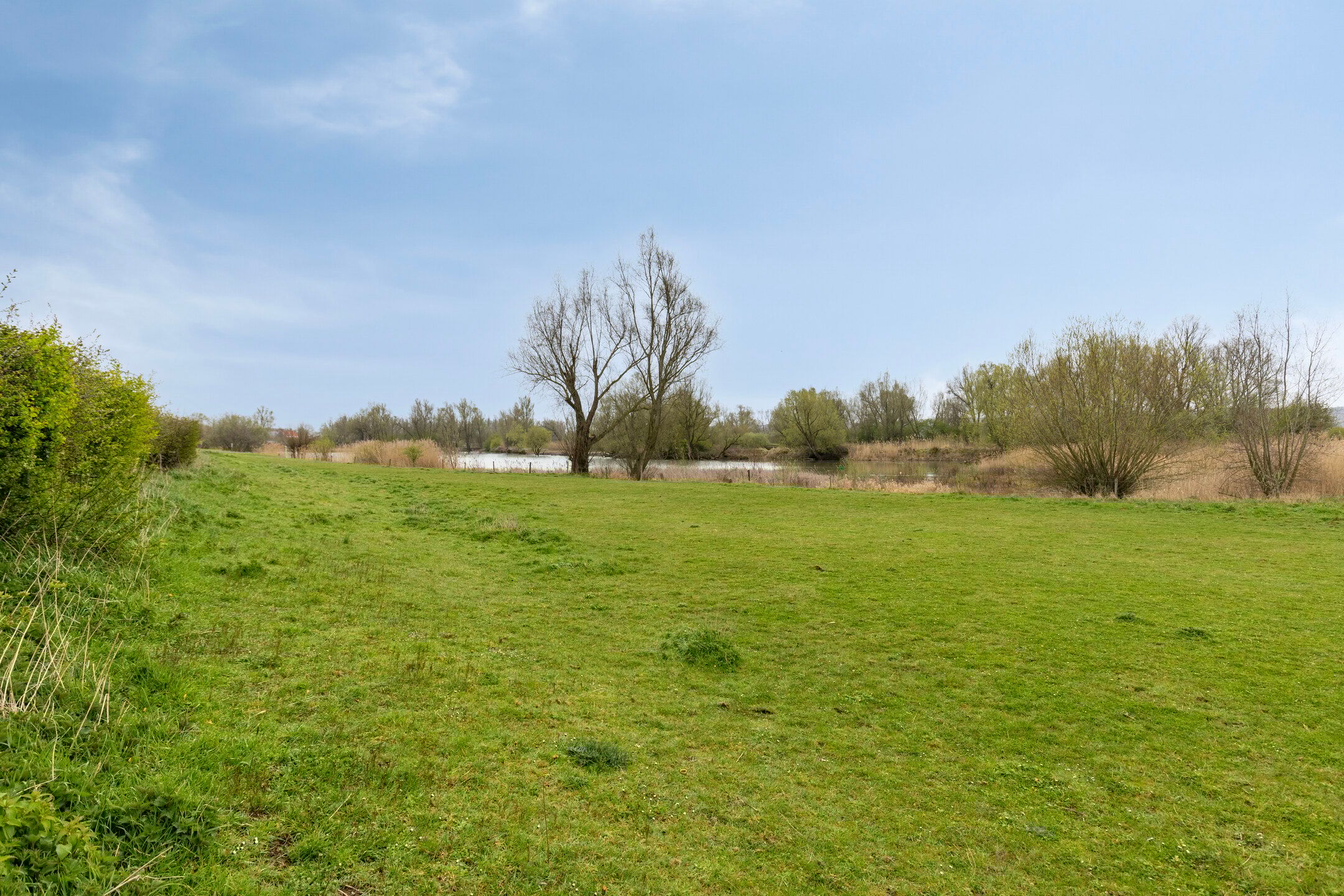 Foto 51 van Nassaustraat 16