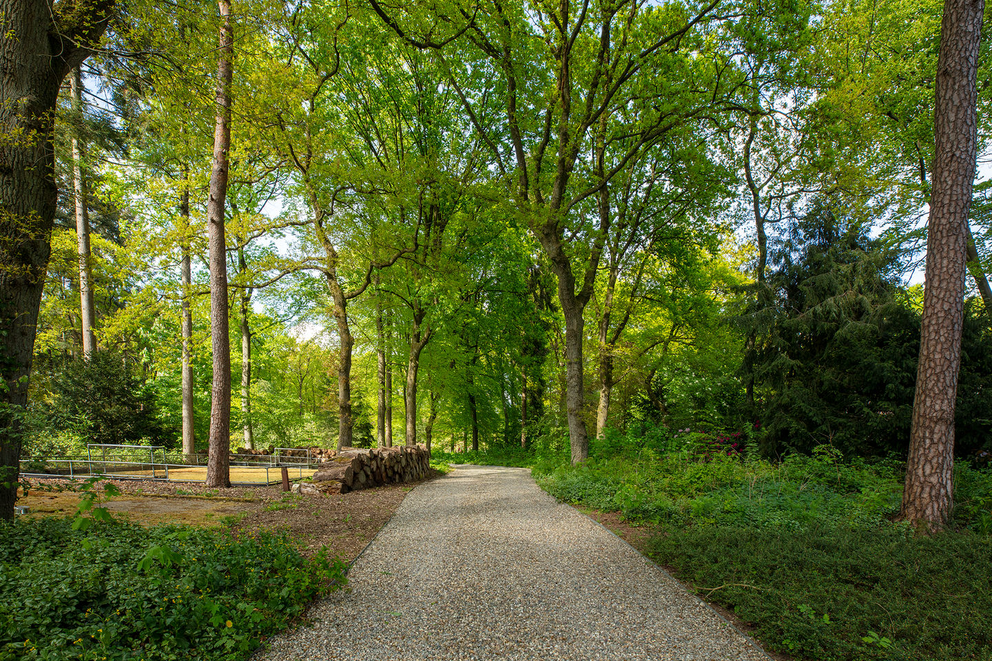 Foto 100 van Zonneheuvelweg 26