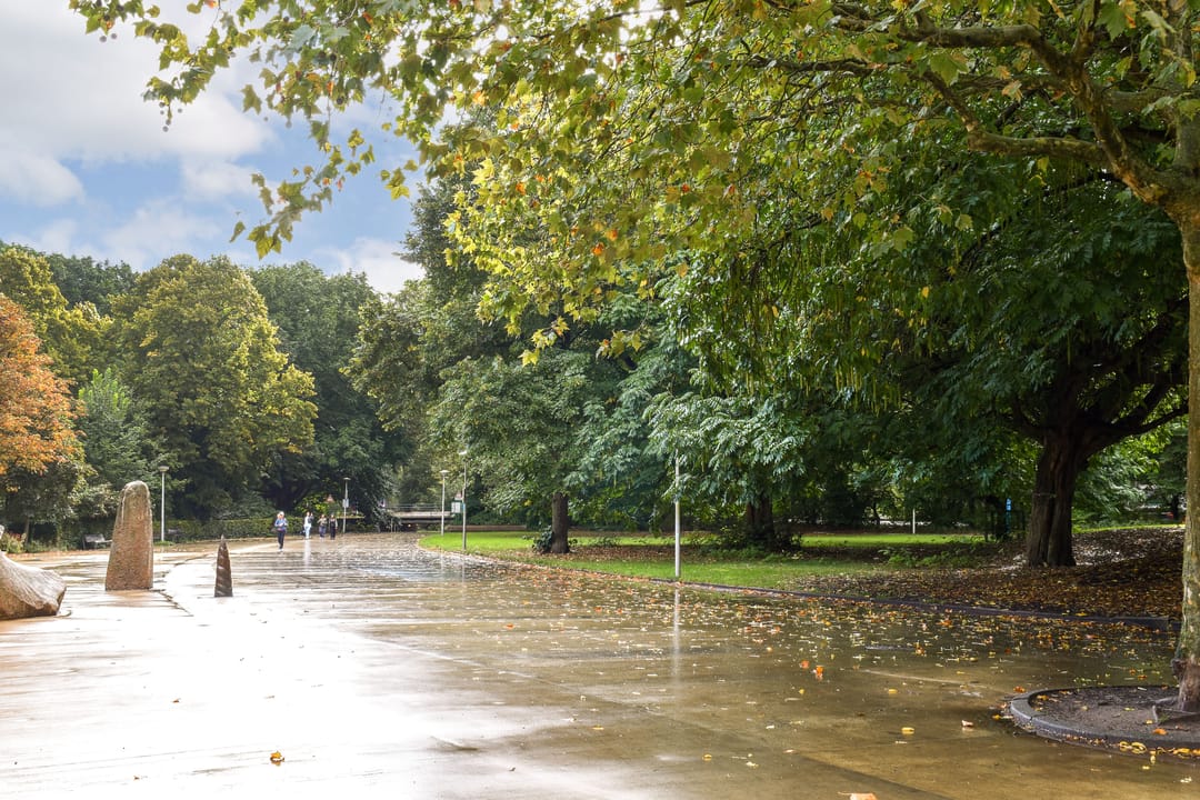 Foto 17 van Borneostraat 17-3