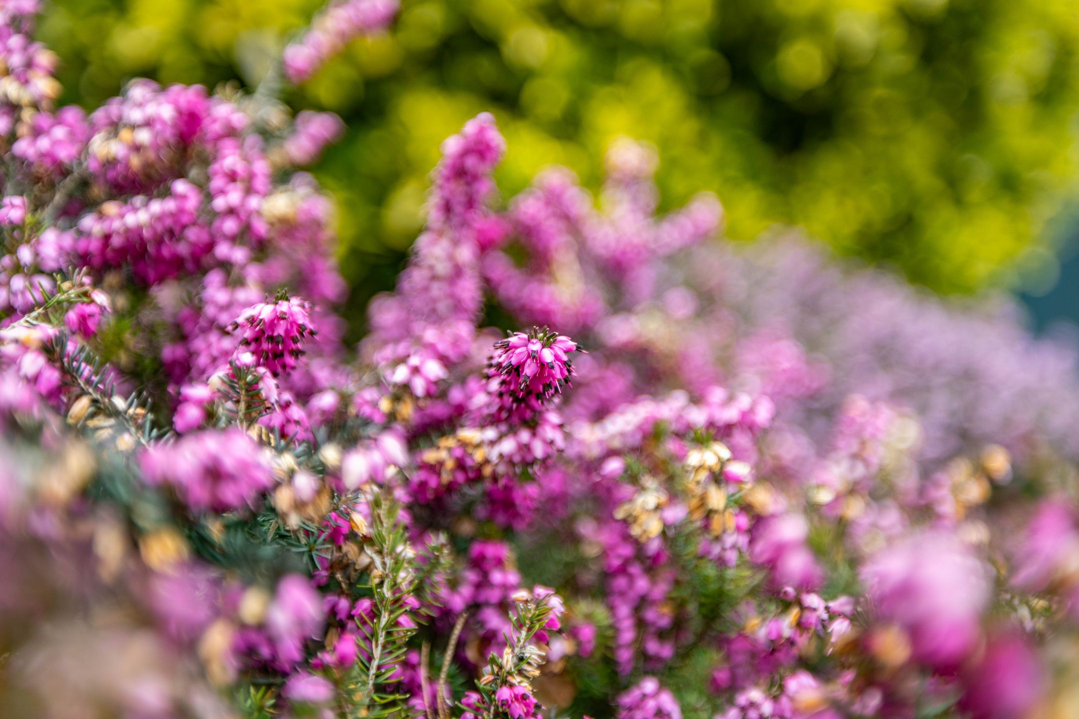 Foto 12 van De Waard 143