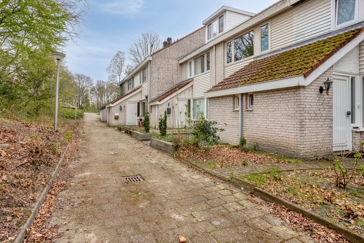 Foto 5 van Rode Beuk 10