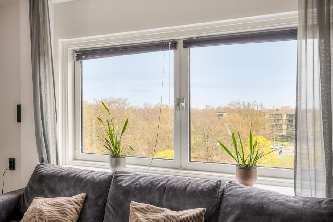 Foto 13 van Kalmoesstraat 49