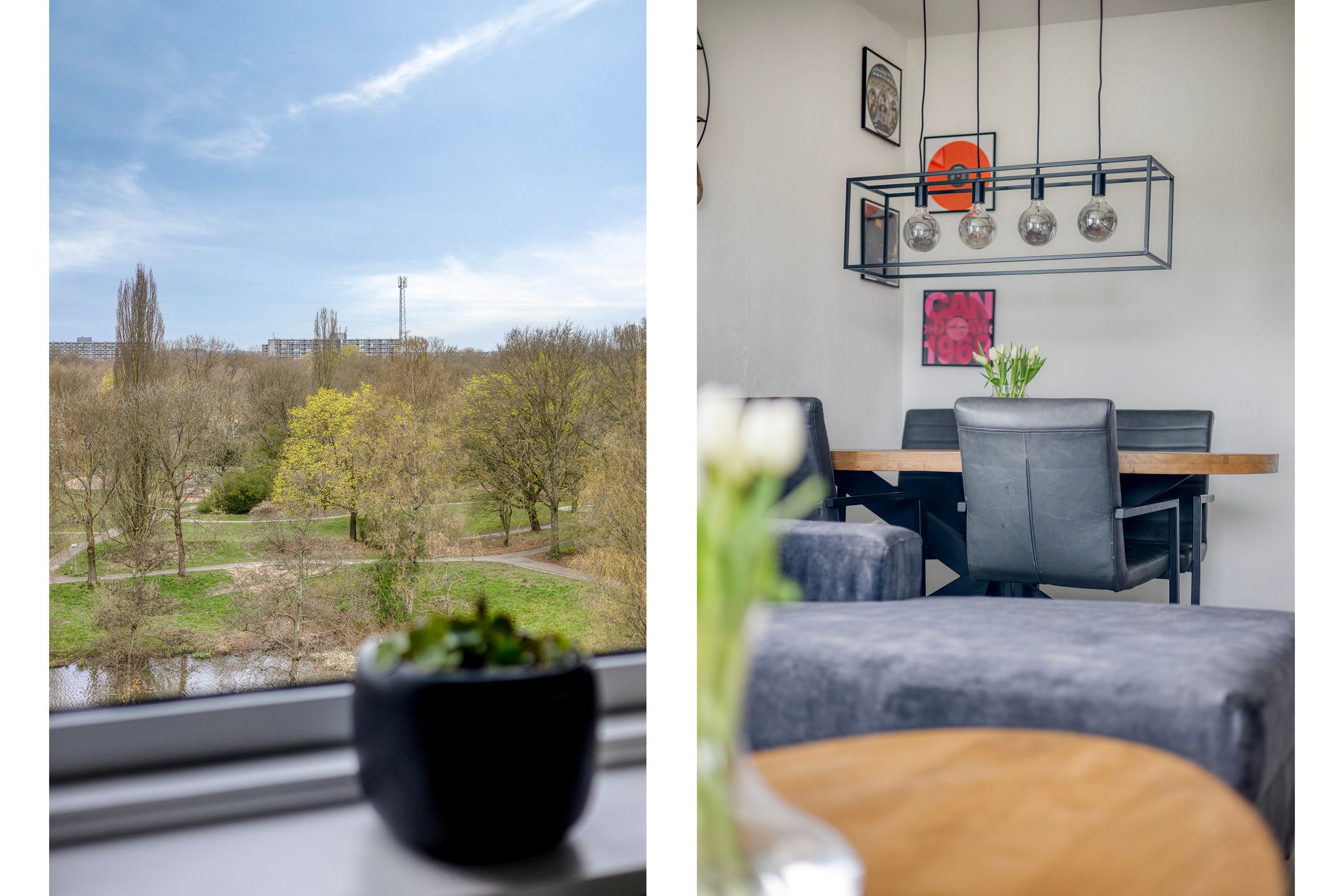 Foto 15 van Kalmoesstraat 49