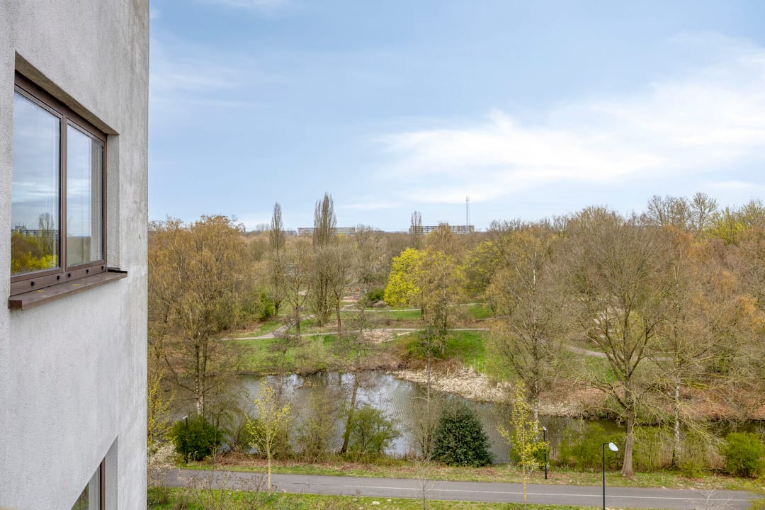 Foto 23 van Kalmoesstraat 49