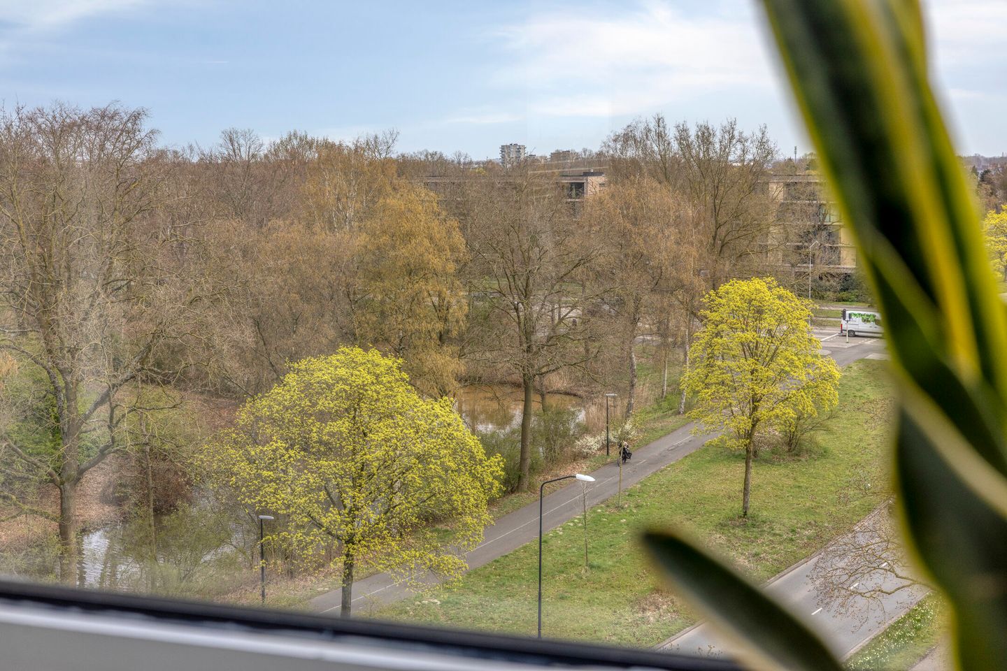 Foto 14 van Kalmoesstraat 49