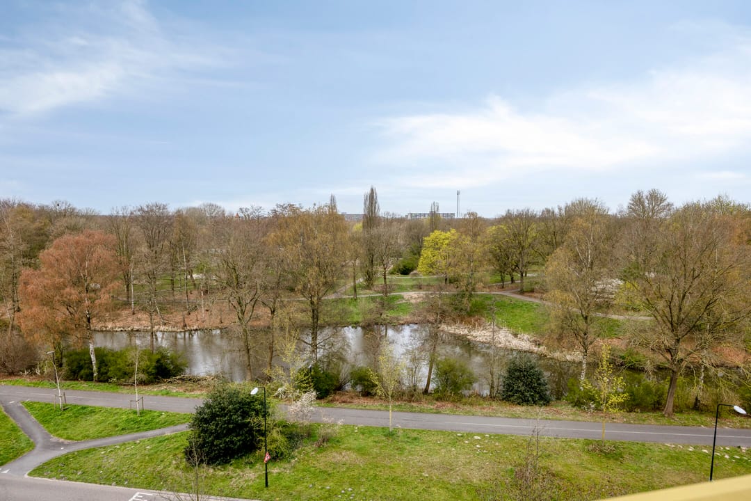 Foto 37 van Kalmoesstraat 49