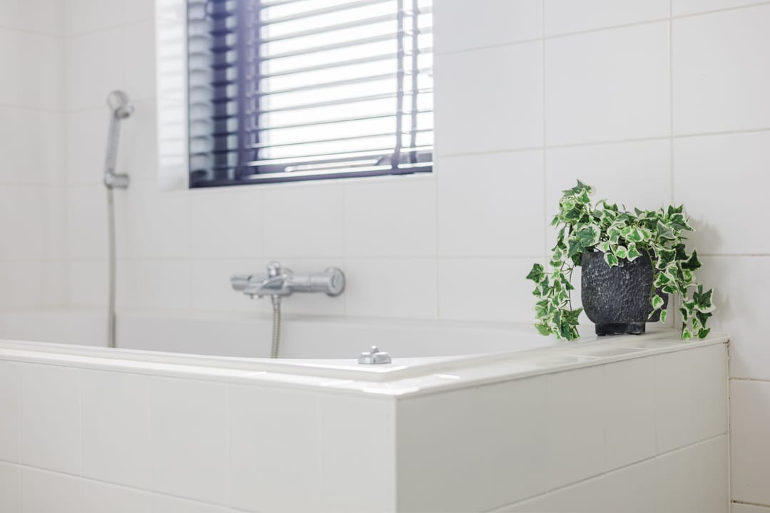 Foto 47 van Parkleane 46