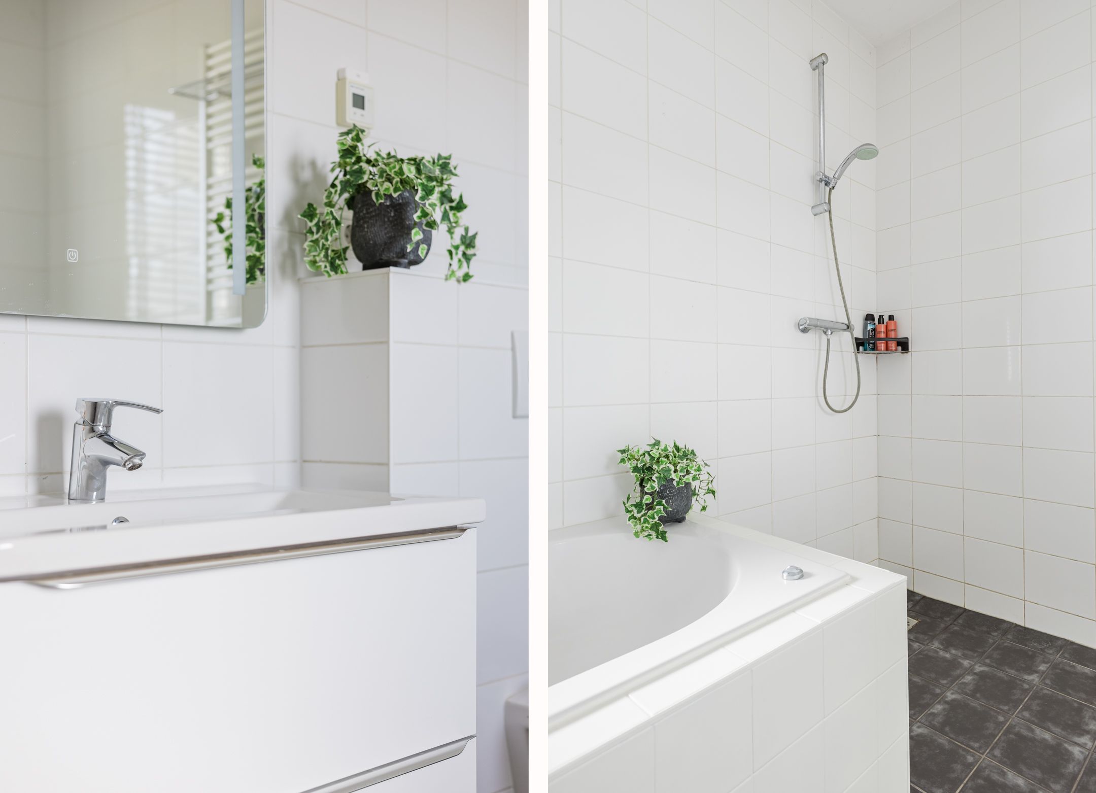 Foto 48 van Parkleane 46