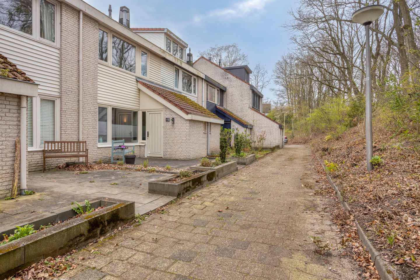 Foto 40 van Rode Beuk 10
