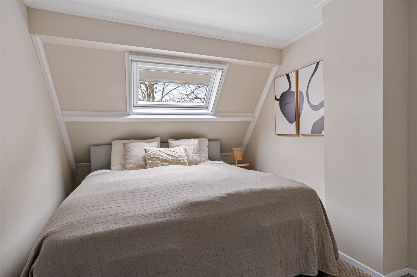 Foto 25 van Hanekamp 47