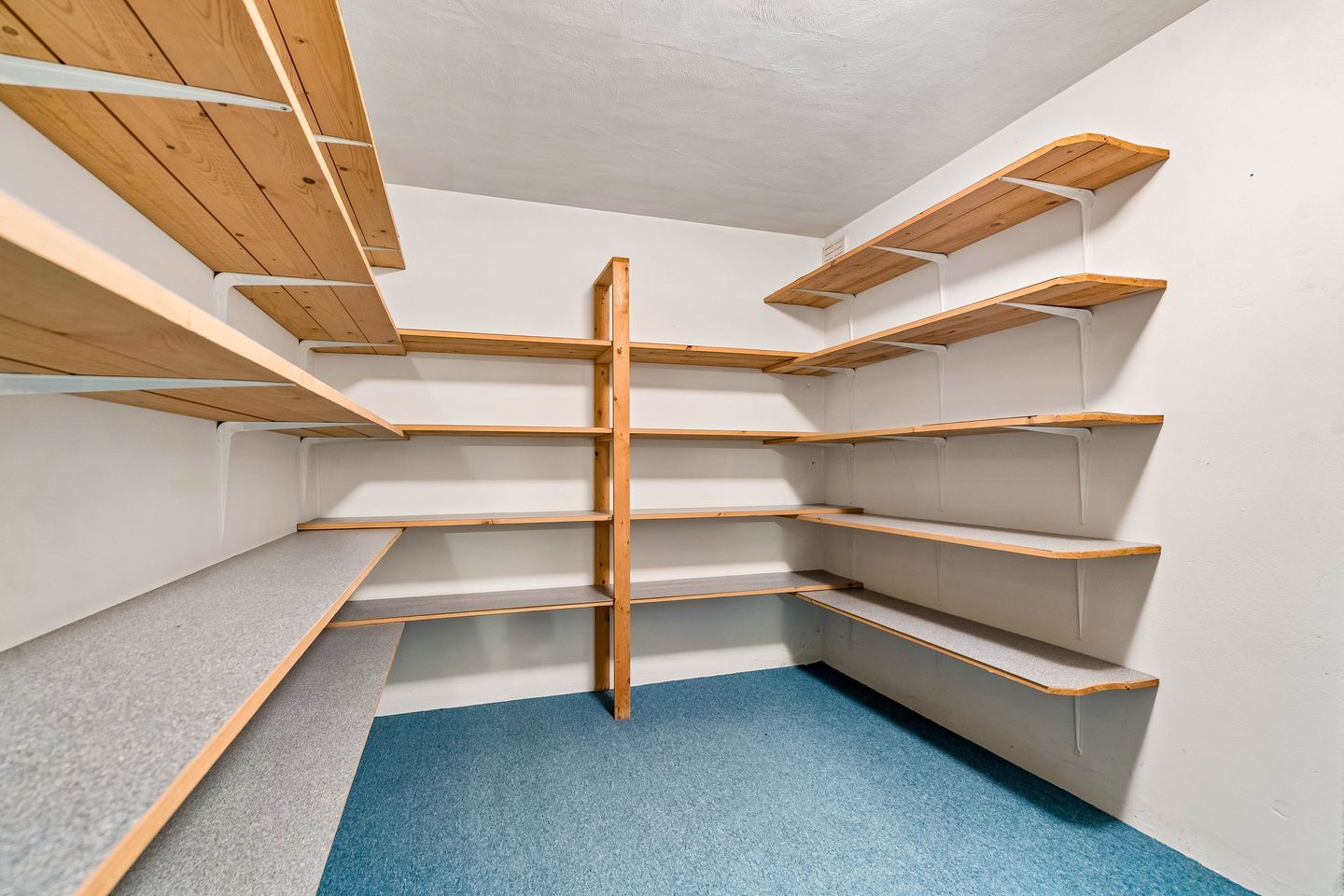 Foto 55 van Berkenlaan 31