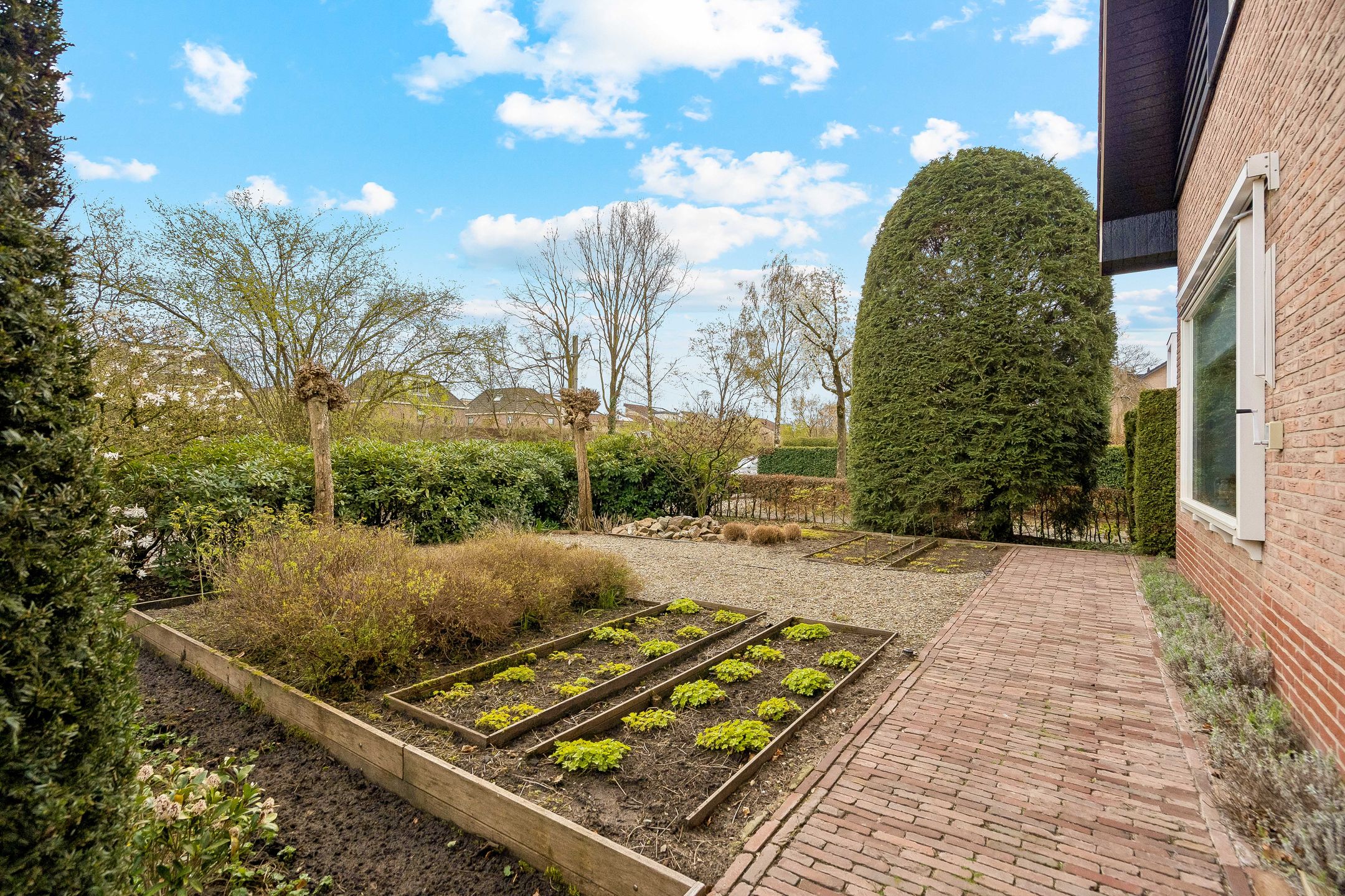 Foto 87 van Berkenlaan 31