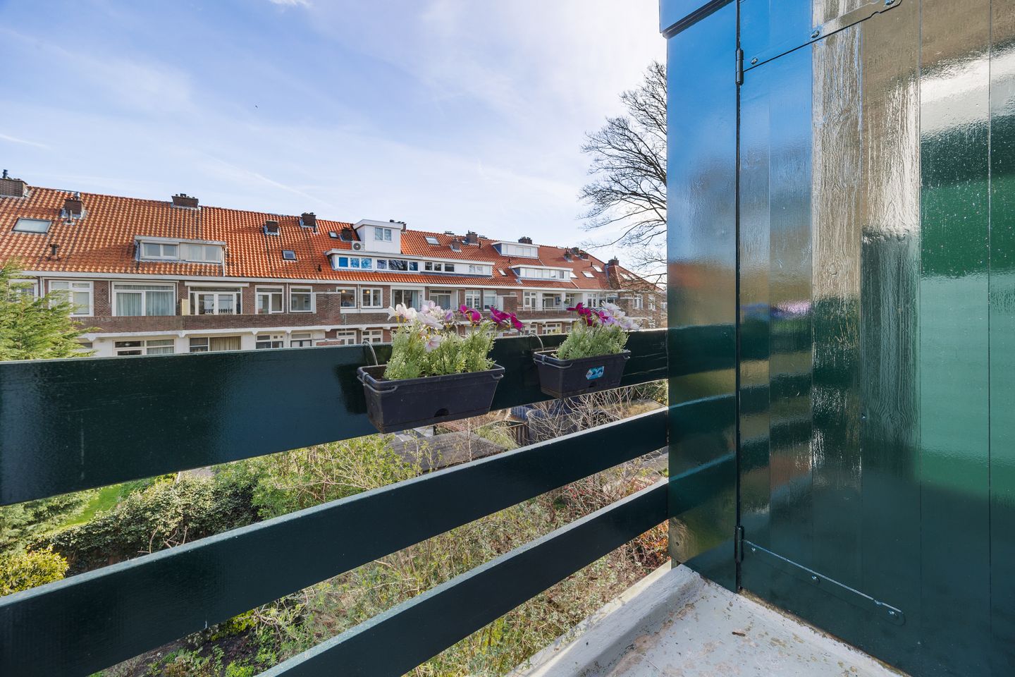 Foto 19 van Koningin Wilhelminalaan 273