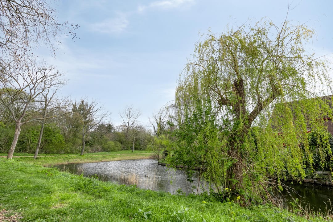 Foto 28 van Obsidiaan 2