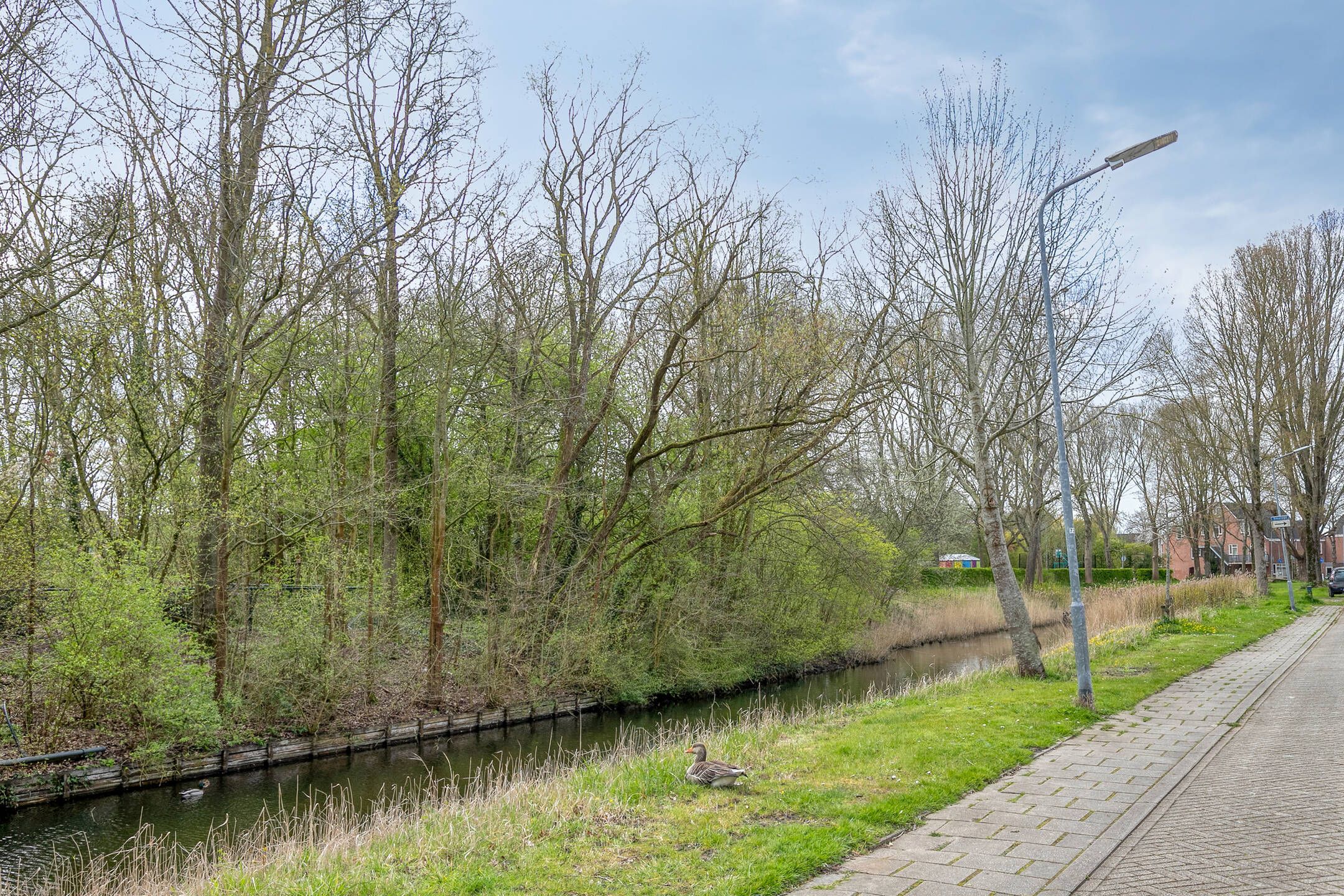 Foto 27 van Obsidiaan 2