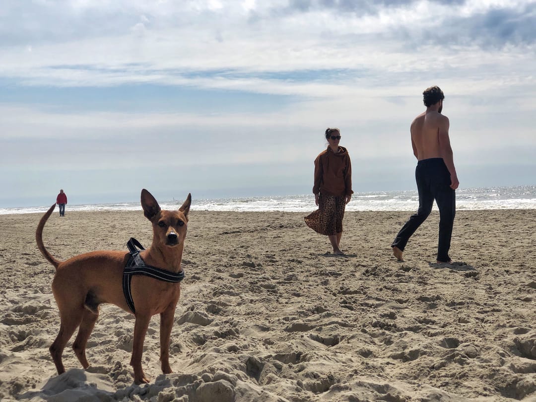 Photo 23 of Dorpsweg 48-8