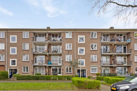 Tijgerstraat thumbnail