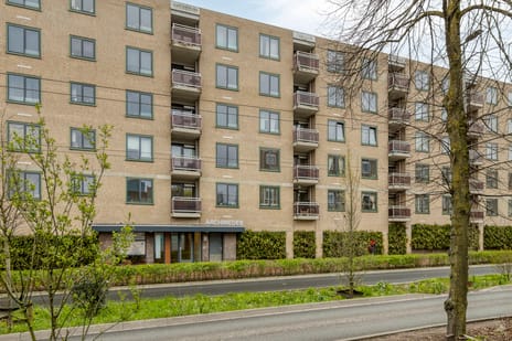 Ir J.P. van Muijlwijkstraat thumbnail