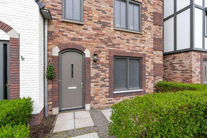 Photo 4 of Regenboogforel 21