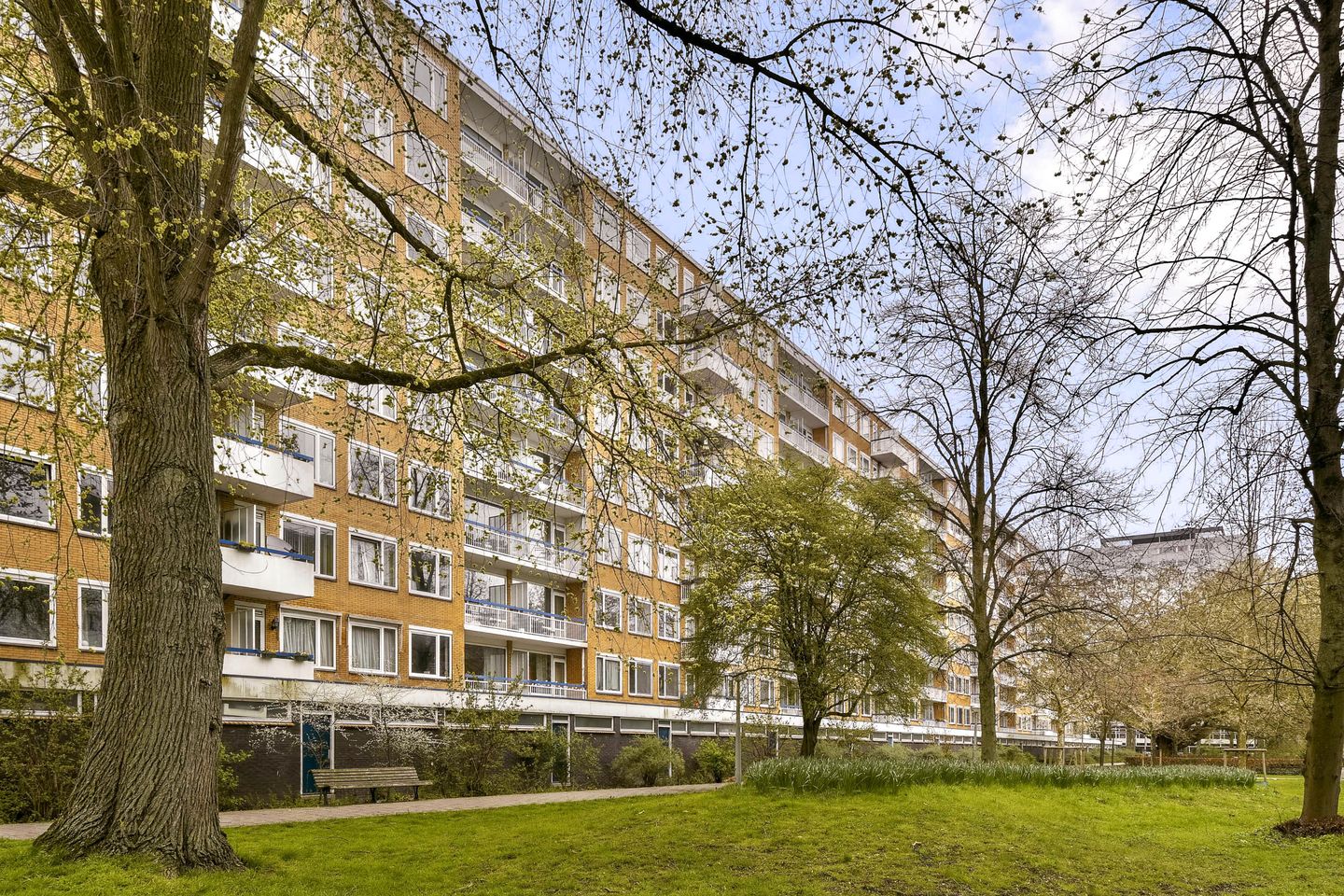 Bright 2-room apartment with south-facing balcony in Amsterdam South — 14