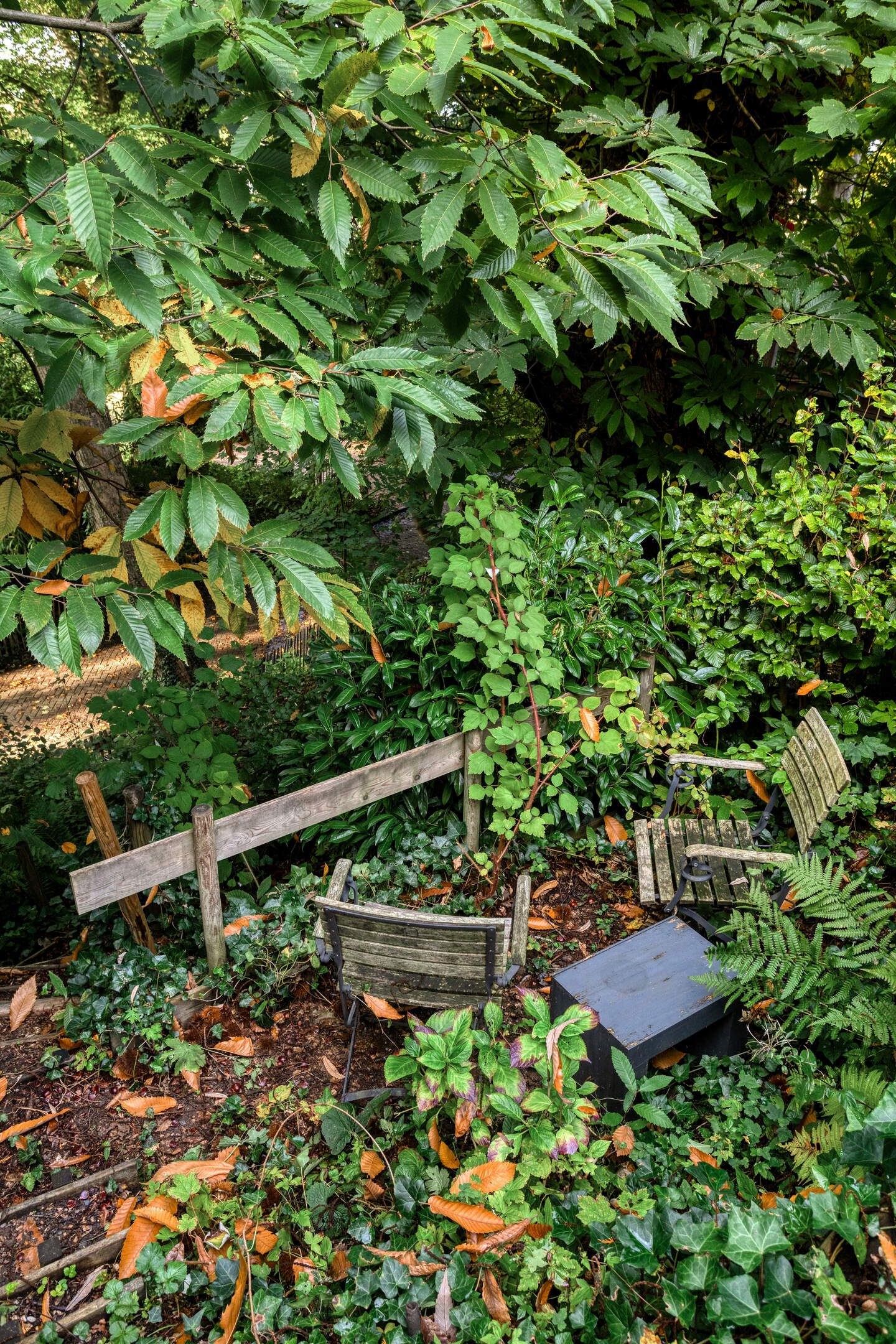 Foto 39 van van der Veurweg 22