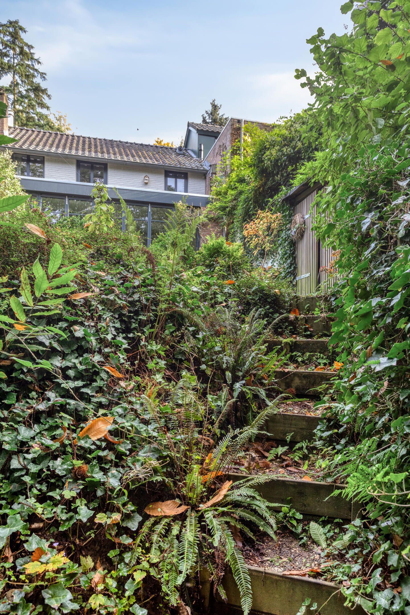 Foto 40 van van der Veurweg 22