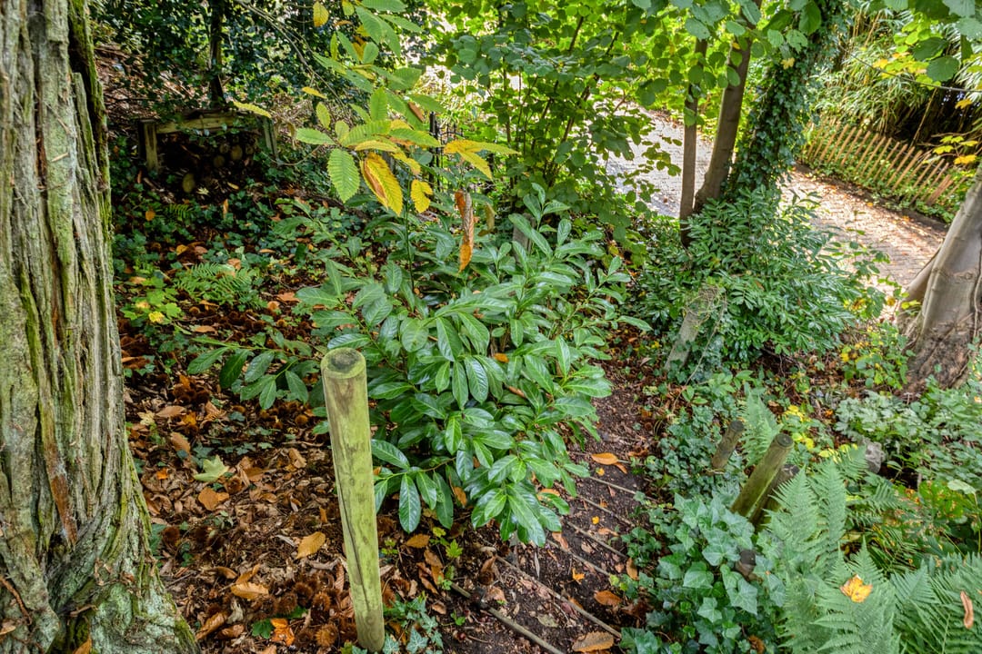 Foto 41 van van der Veurweg 22