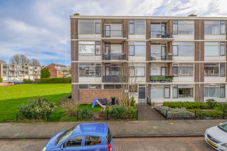 Orchideestraat thumbnail