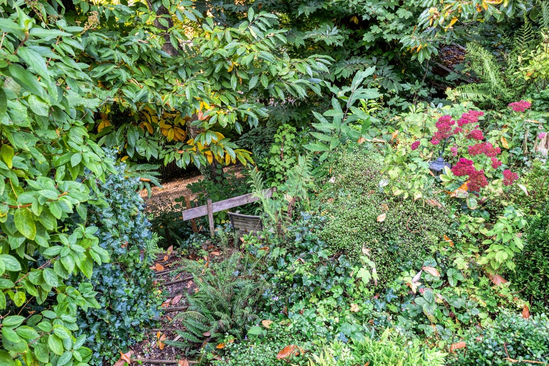 Foto 38 van van der Veurweg 22