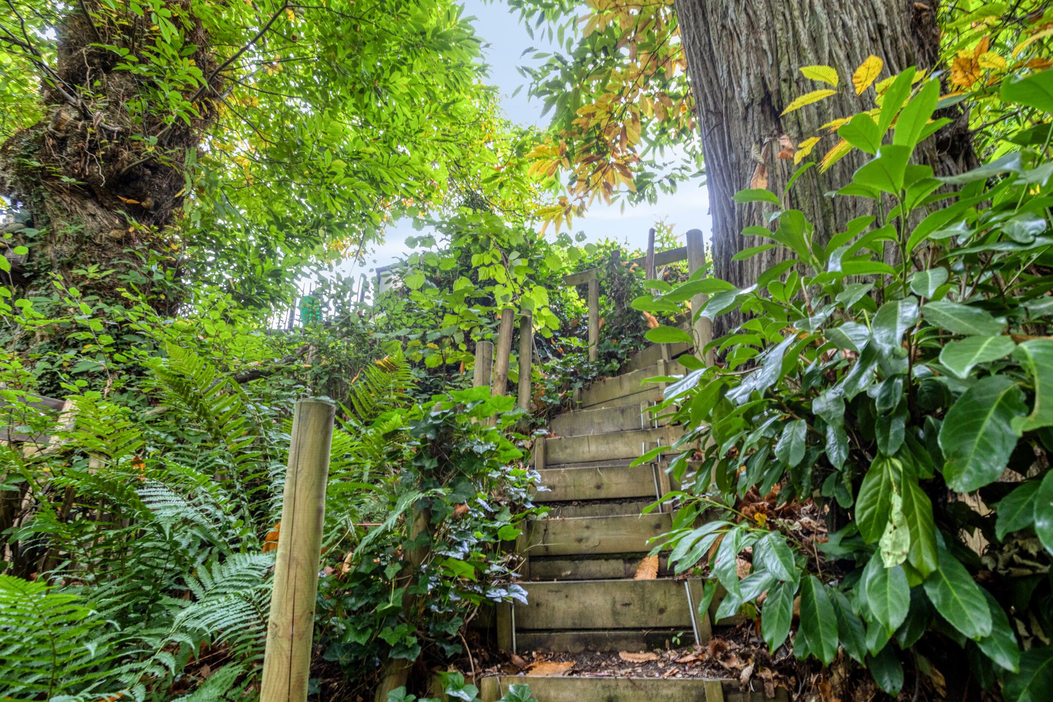 Foto 42 van van der Veurweg 22