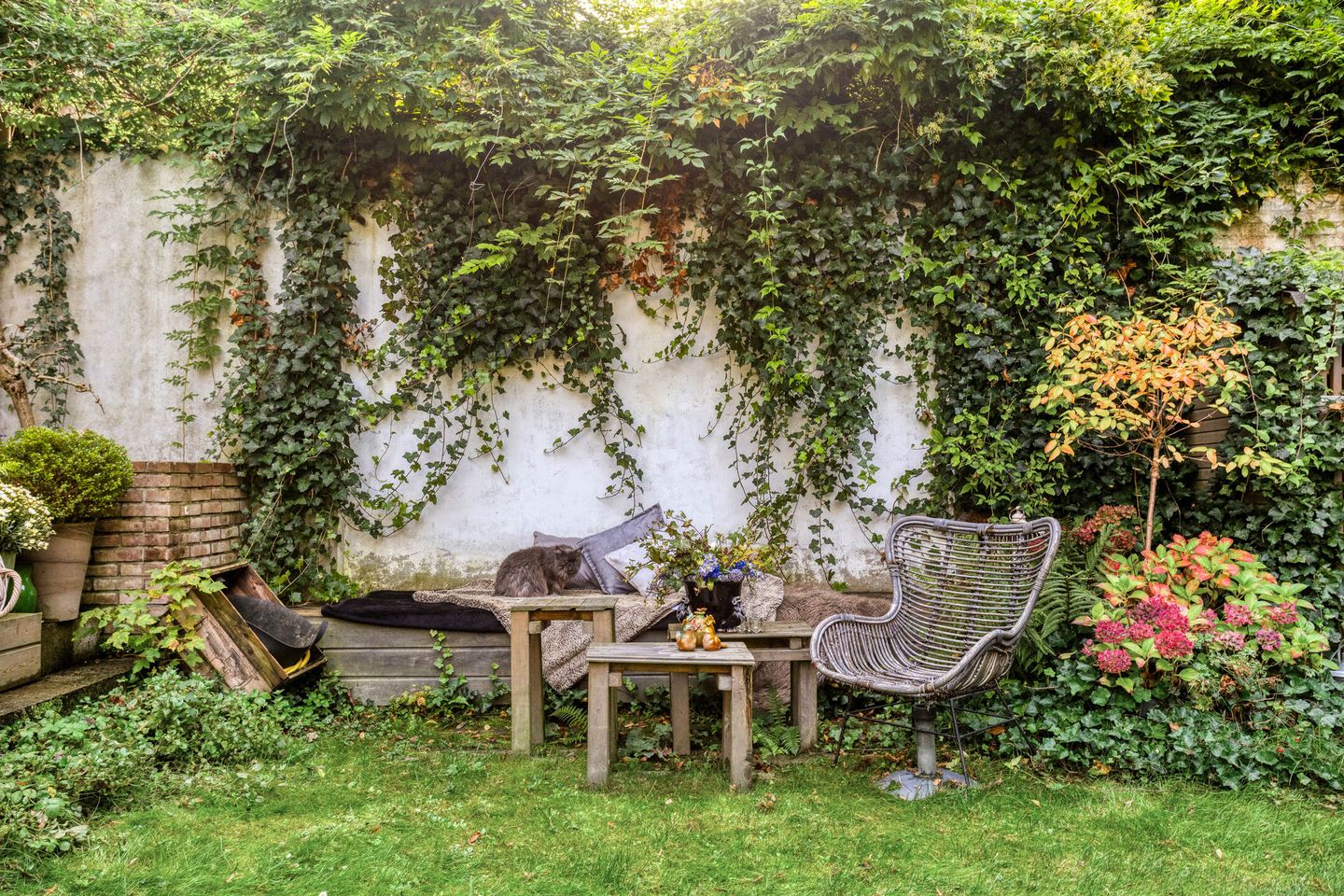 Foto 35 van van der Veurweg 22