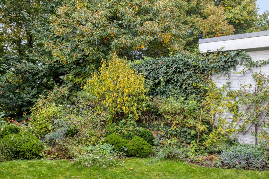 Foto 43 van van der Veurweg 22