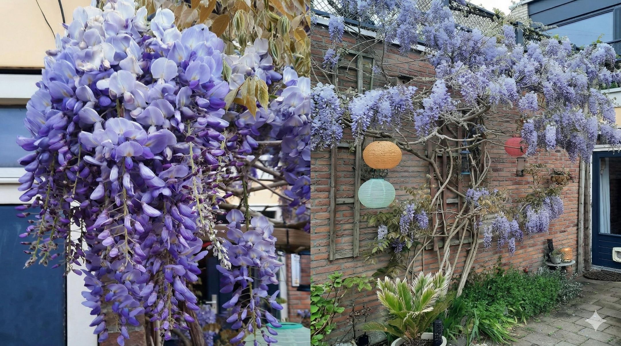 Foto 51 van Eli Heimanshof 10