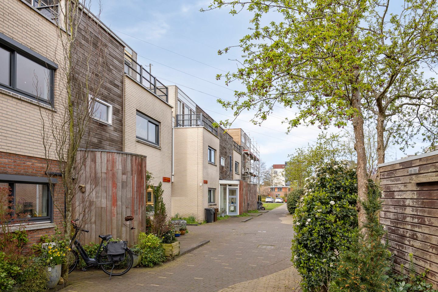 Foto 59 van Eli Heimanshof 10