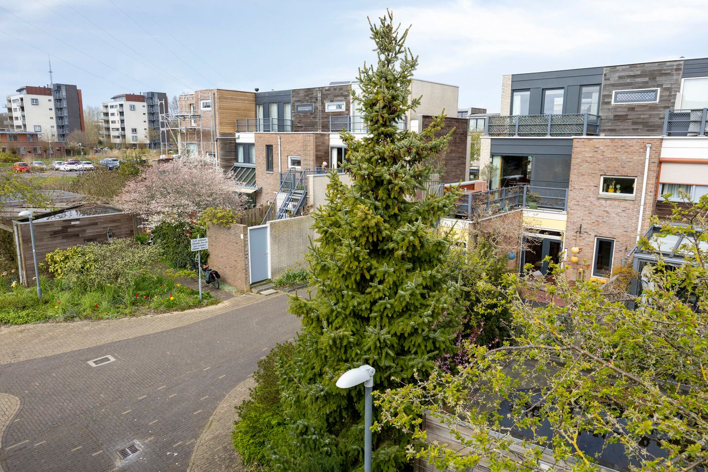 Foto 70 van Eli Heimanshof 10