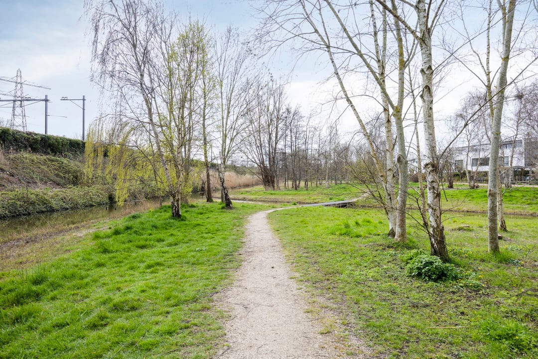 Foto 73 van Eli Heimanshof 10