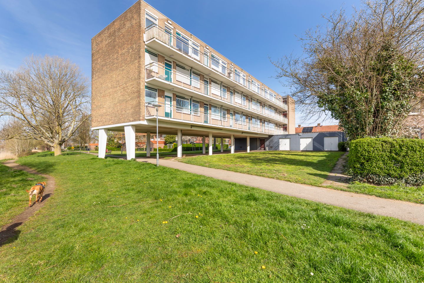 Corner Apartment with Water View and Renovation Potential in Dordrecht — 19