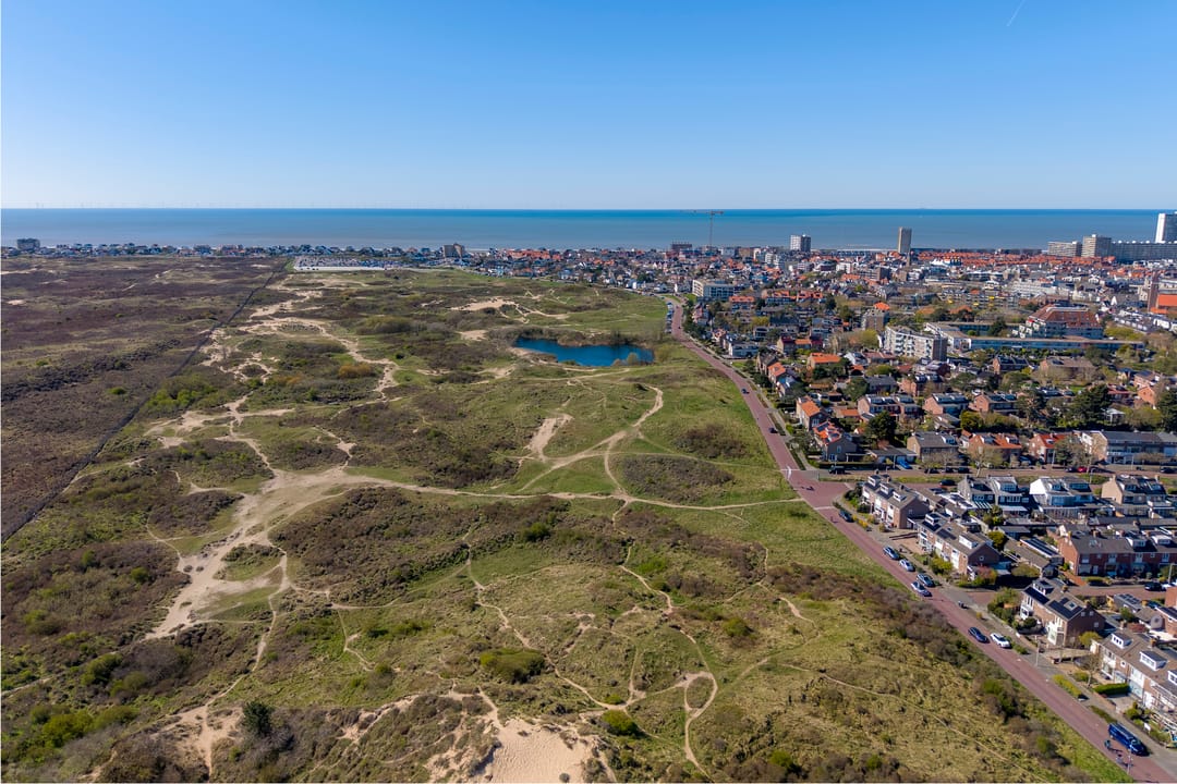 Foto 52 van Frans Zwaanstraat 38