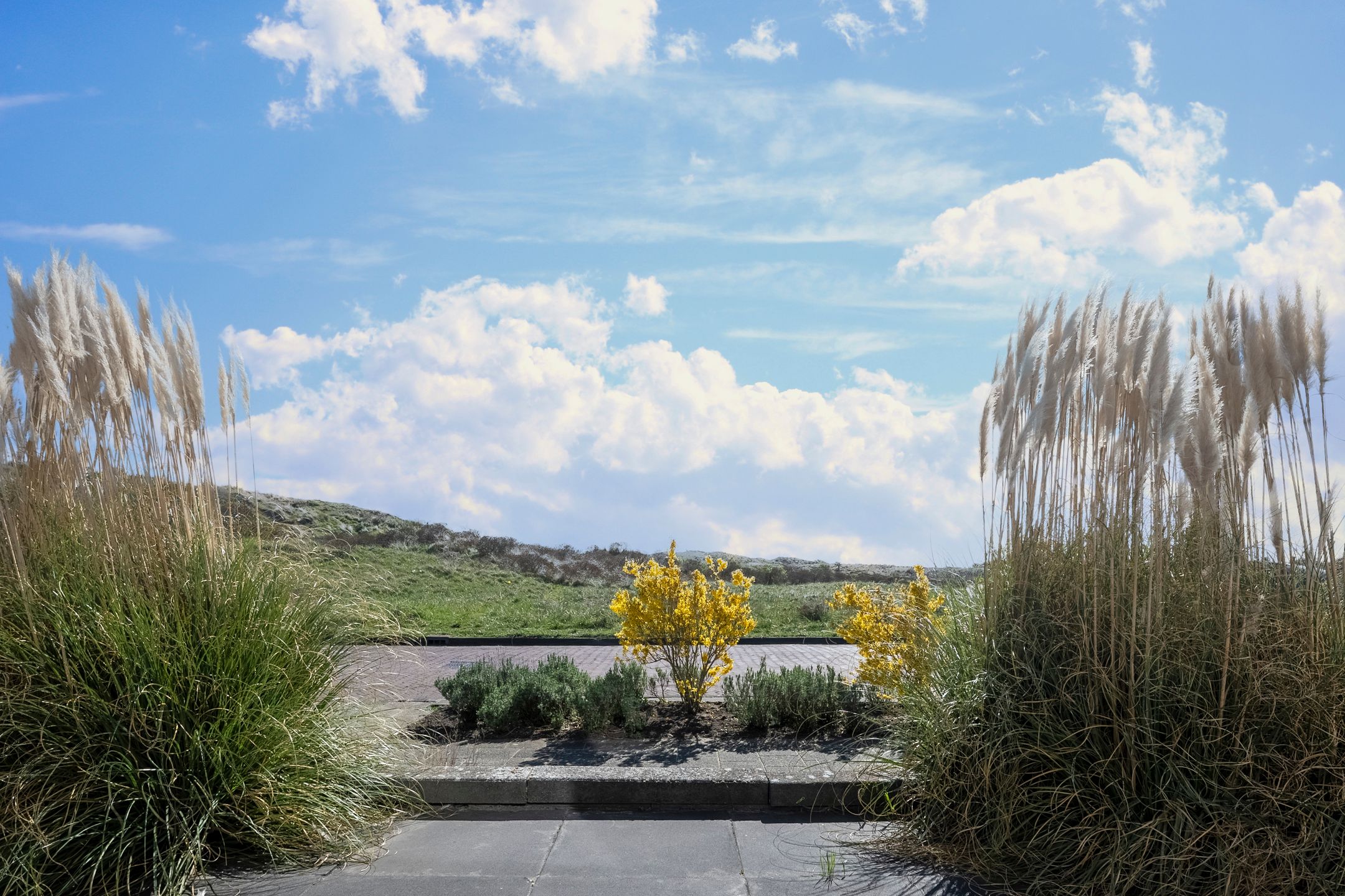 Foto 51 van Frans Zwaanstraat 38