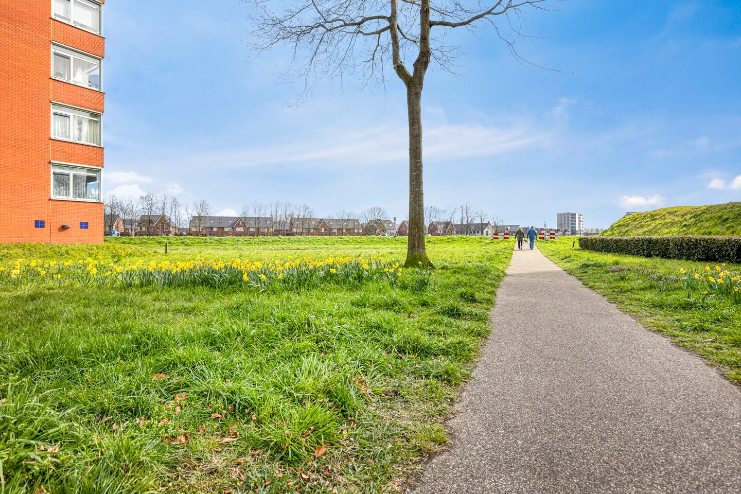 Photo 19 of Heer Halewijnstraat 24