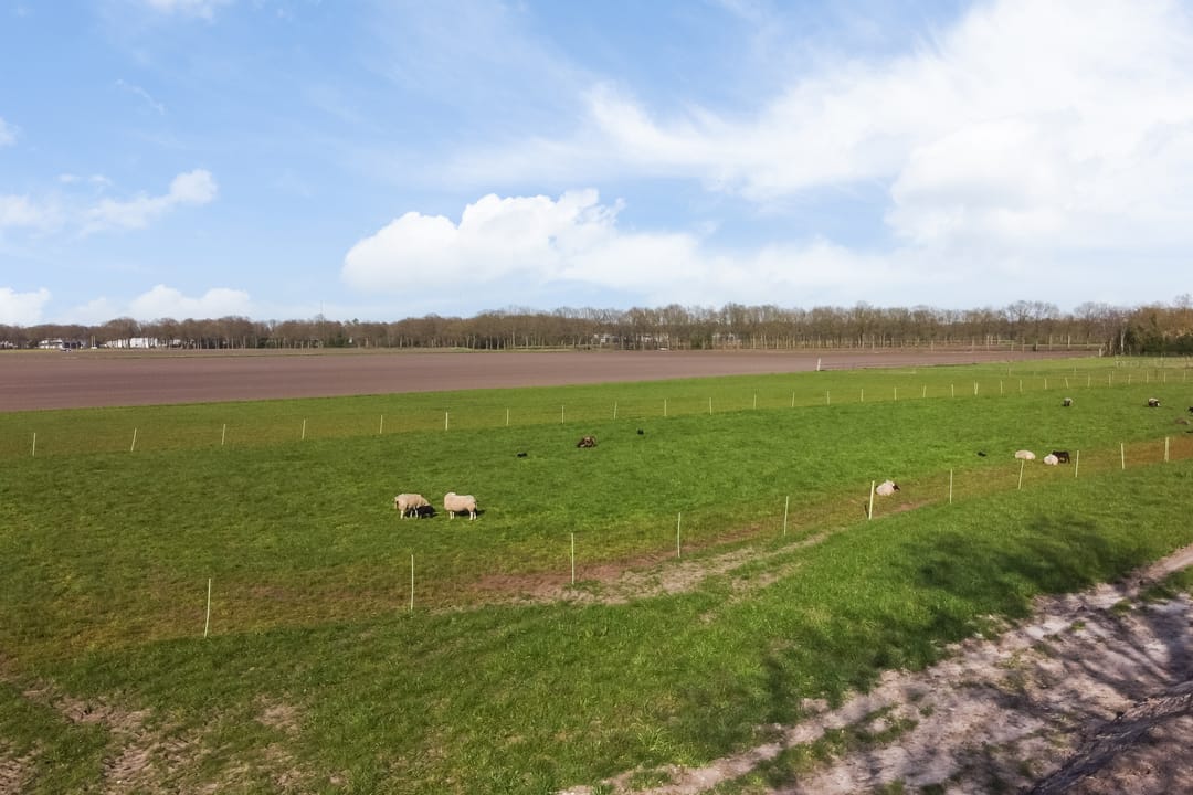 Foto 86 van De Vledders 2