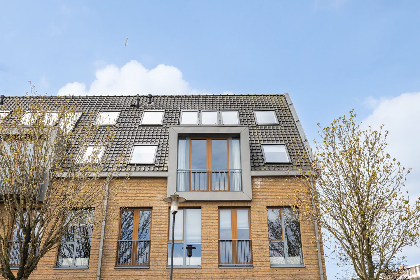 Foto 34 van Middenweg 9-T