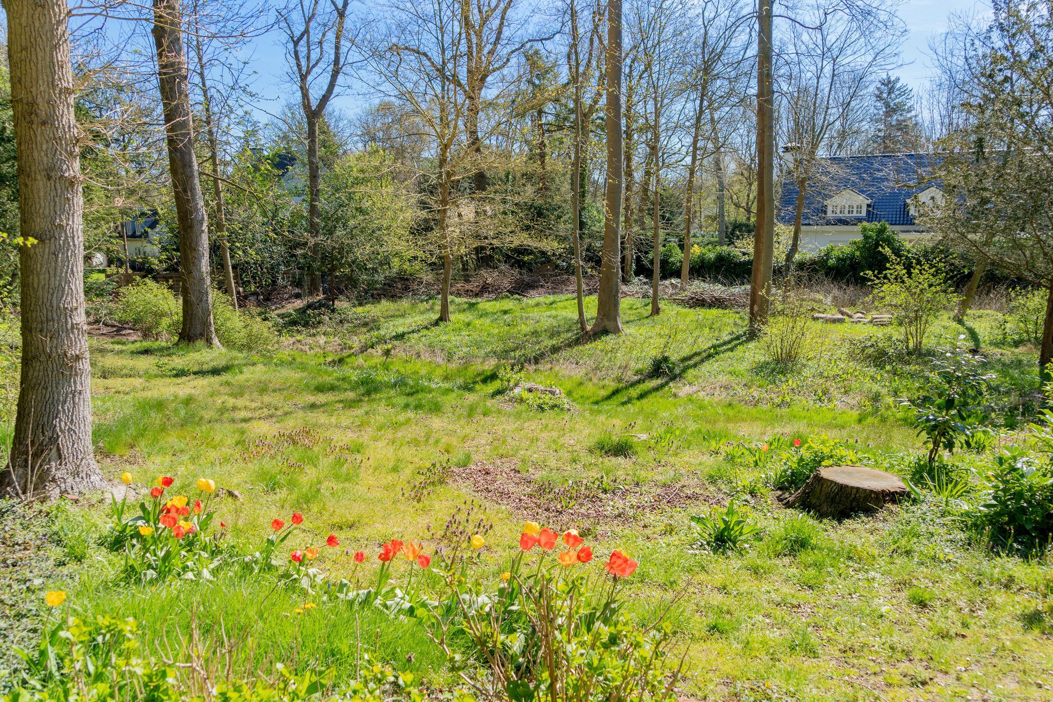 Foto 39 van Leeuwerikenlaan 1