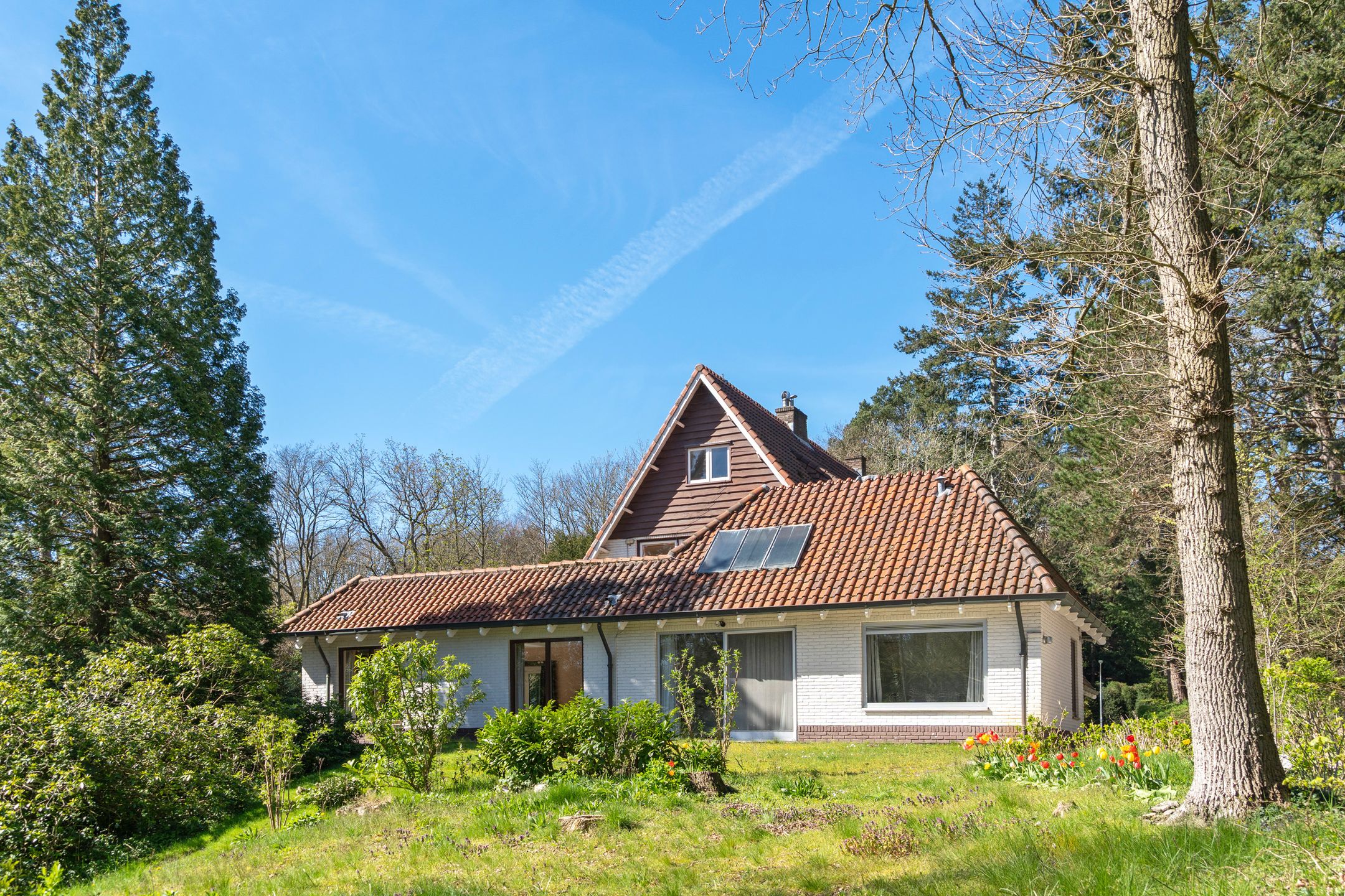 Foto 36 van Leeuwerikenlaan 1