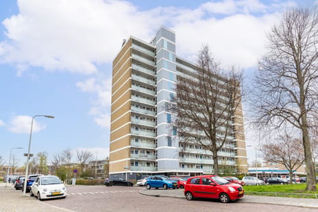 Teunisbloemplein thumbnail