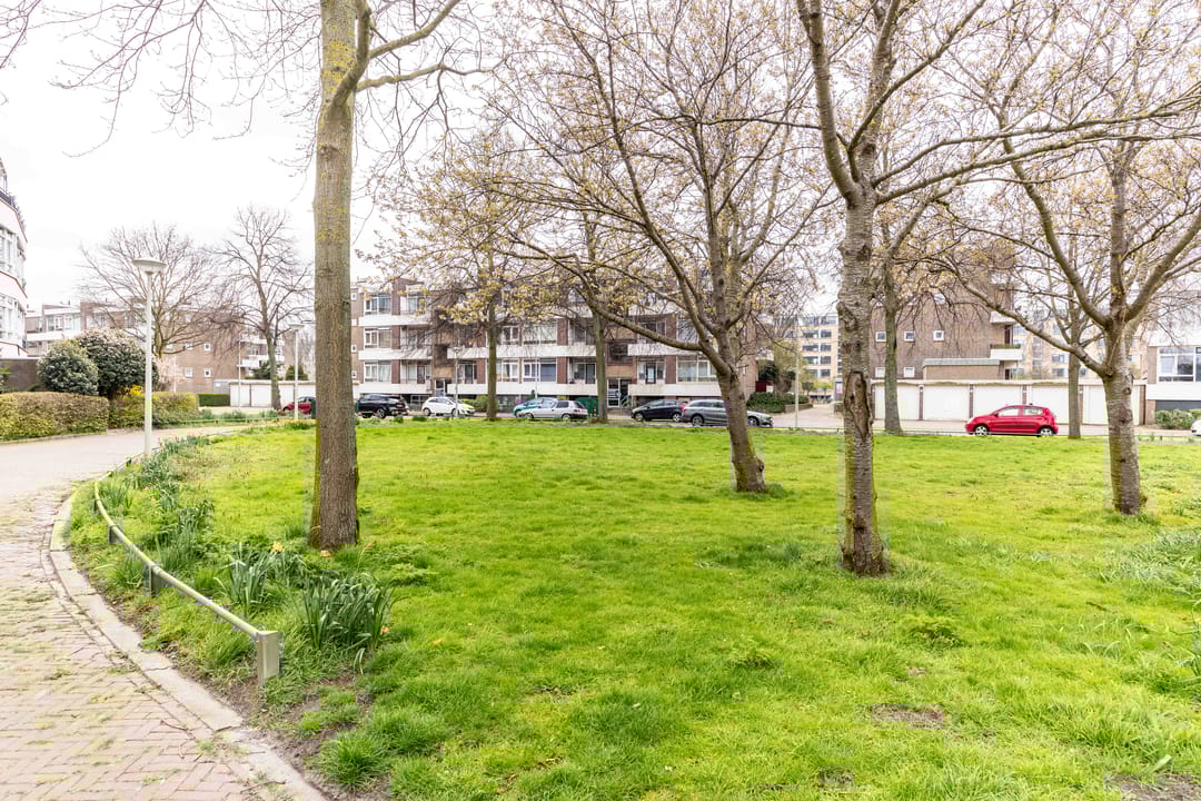 Photo 17 of Teunisbloemplein 42