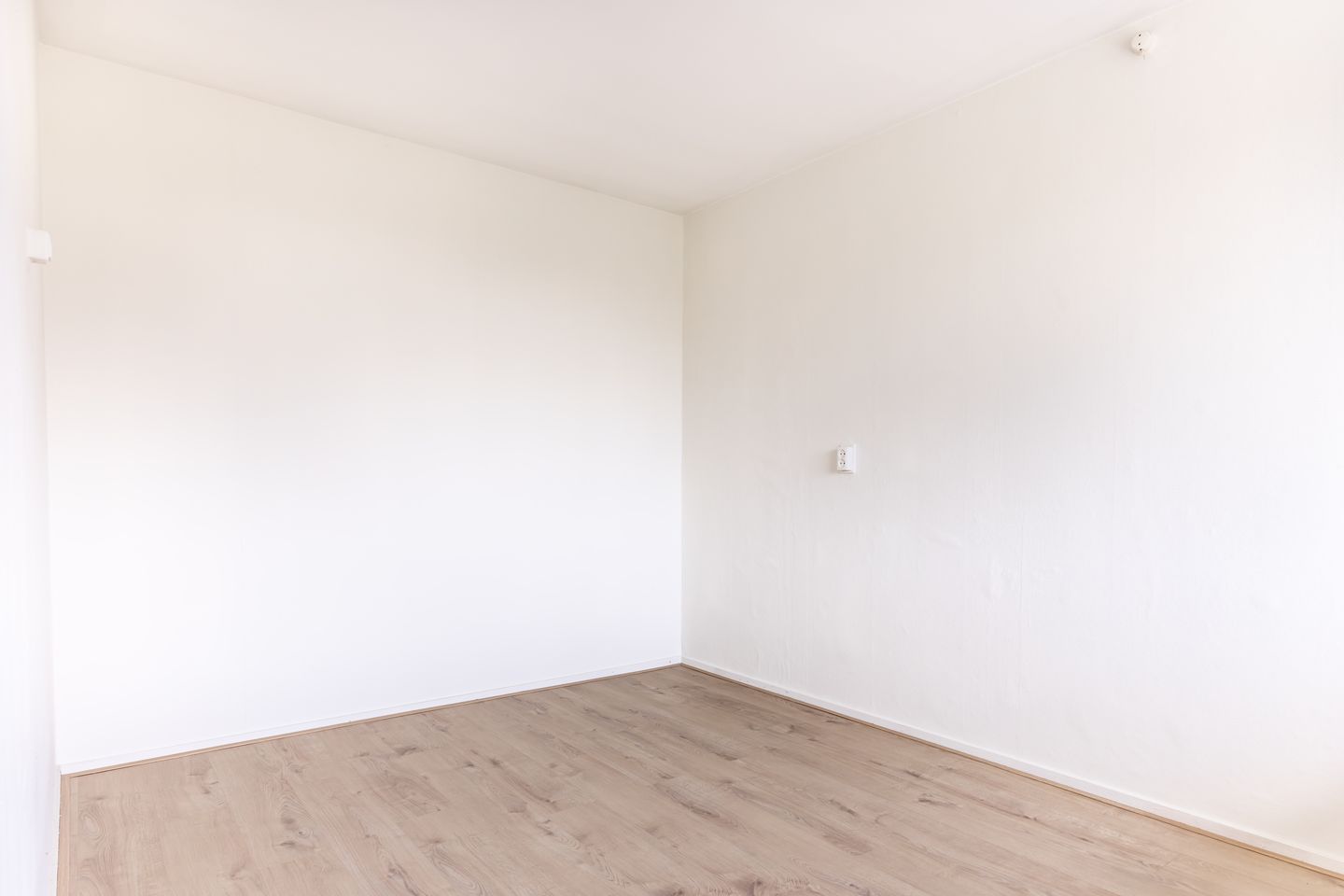 Photo 10 of Teunisbloemplein 42